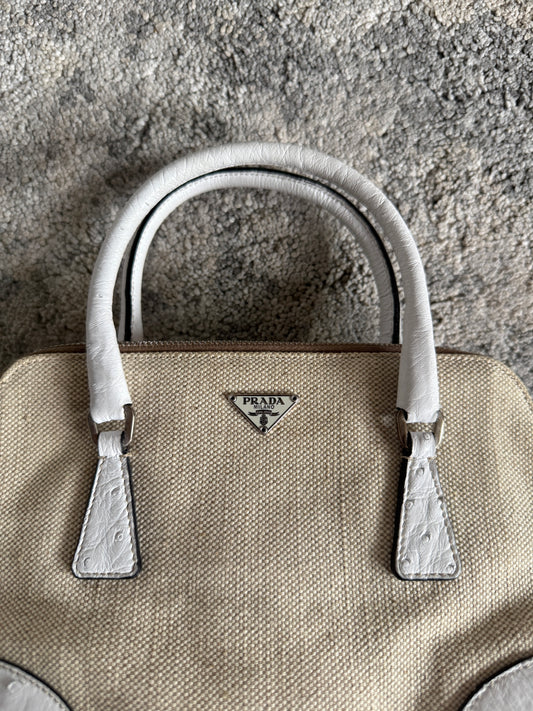 Prada 2000’s canvas & ostrich leather mini bag
