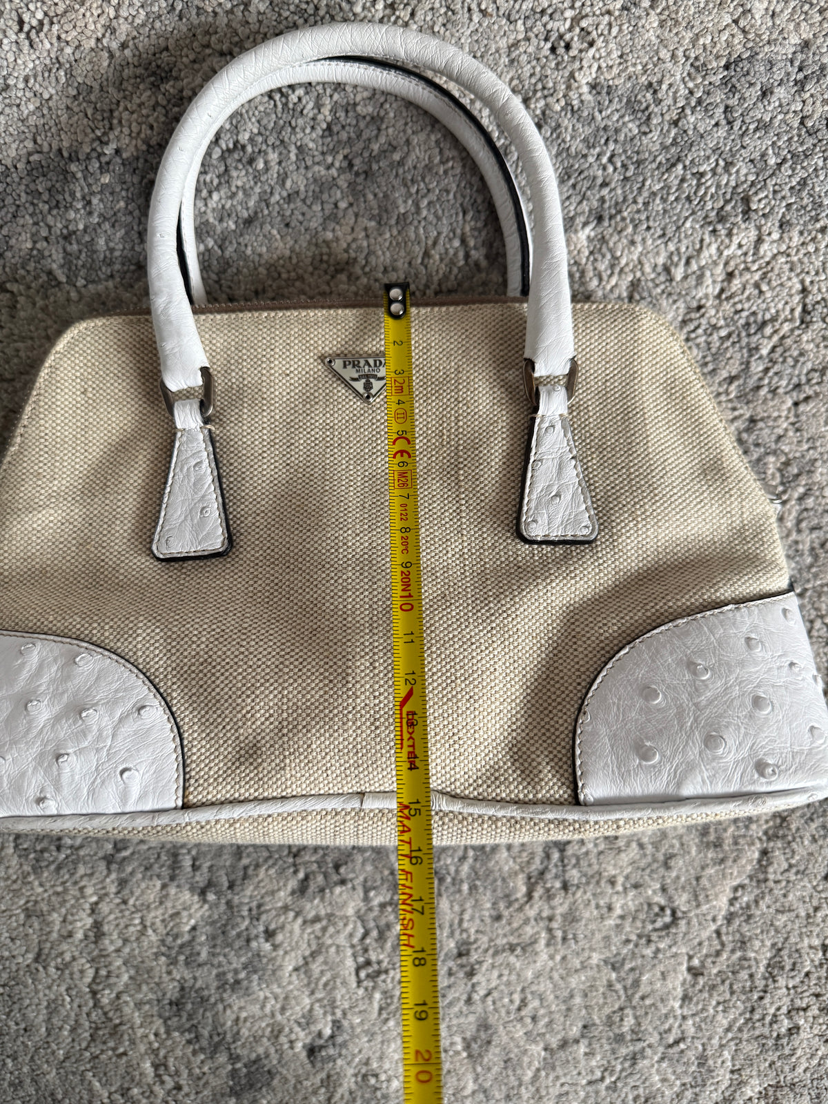 Prada 2000’s canvas & ostrich leather mini bag