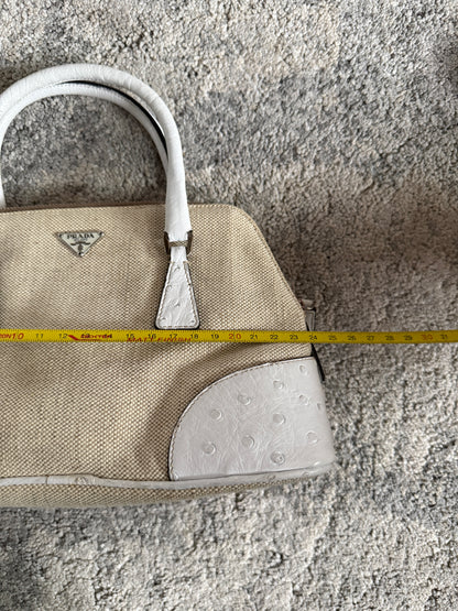 Prada 2000’s canvas & ostrich leather mini bag