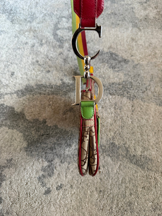 Dior SS2004 rasta monogram bag