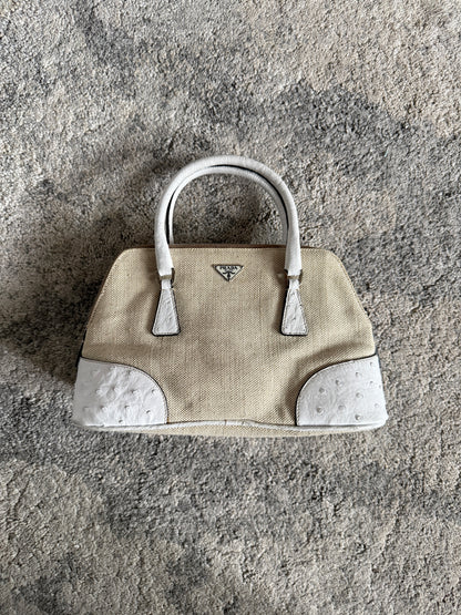 Prada 2000’s canvas & ostrich leather mini bag